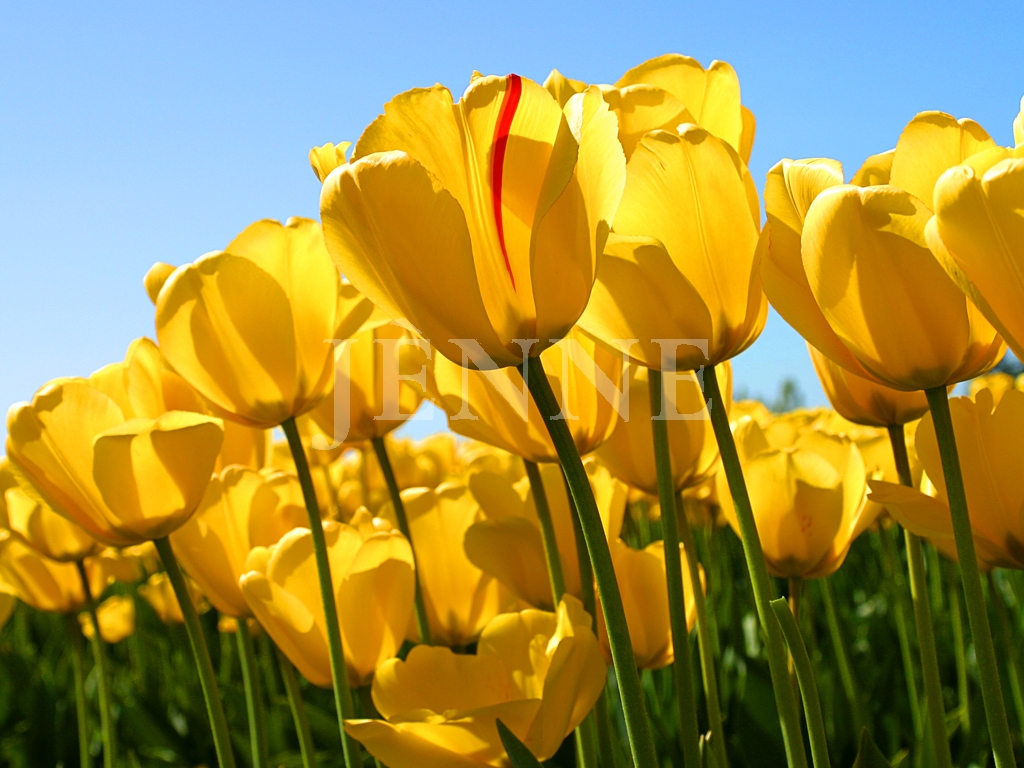 2293391b881883126c84f5c1dd48bb8d_1758302550_1083.jpg